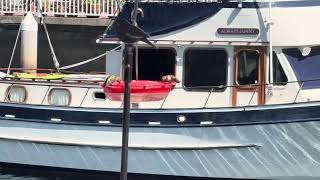 2 hummingbirds at Harbor