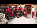 Apostle Sandile Mlambo
