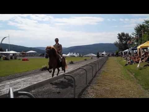 DJIM 2010 - Mix vom Finaltag 1/2 - isibless