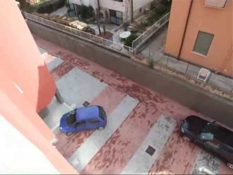 micioccoli 3  240000