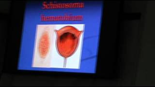 Dr.Sahar - Parasitic Infections 1 - Bilharziasis