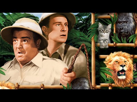 Africa Screams | Abbott & Costello & Apes & Cannibals