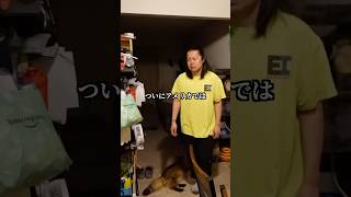 偏差値30のおっさんがニューヨークに移住した末路　#アメリカ生活