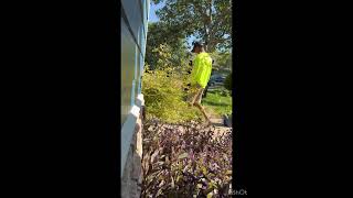 Solar energy ⚡️will change the world🌎