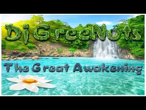 Dj GreeNuts - The Great Awakening