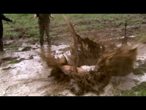 Se Alexander Alans spektakulära magplask i gyttjan - Farmen (TV4)