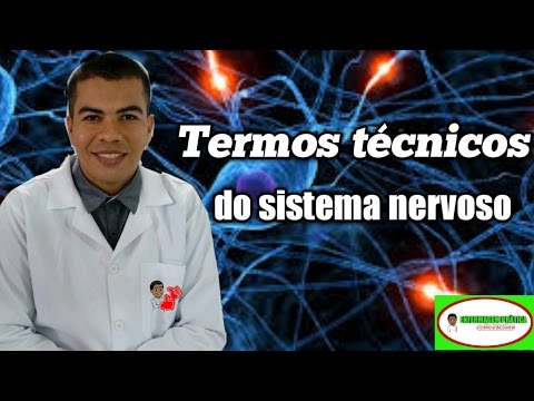 Termos técnicos do sistema Nervoso