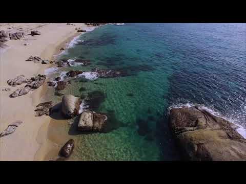 屋久島 永田いなか浜
