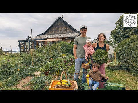 Converted wooden shed becomes a tiny house for a small family
