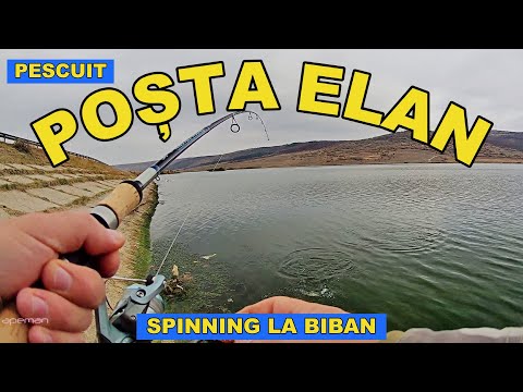 Pescuit balta Posta Elan VASLUI / Spinning la rapitor / BIBANI la greu in noiembrie 2022 video 4K