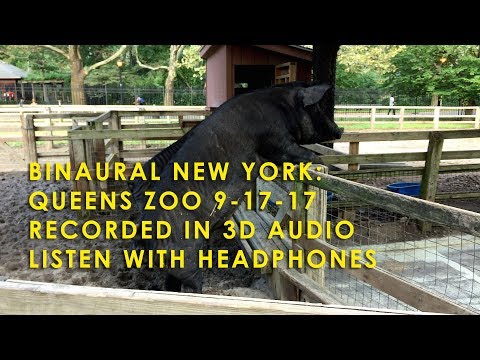 Binaural NY: Queens Zoo - Extended Version 9-17-17 - 3D Audio