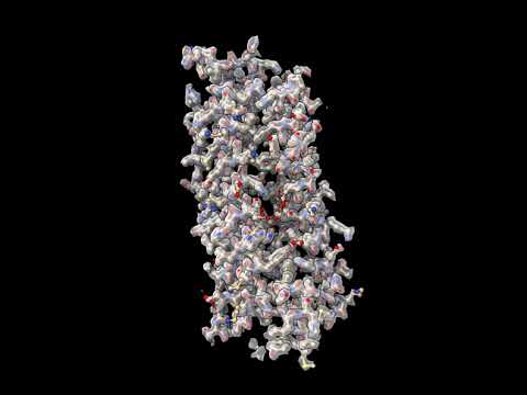subunit map of 1.96Å mouse apoferritin
