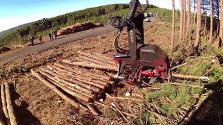 Miniatura do vídeo