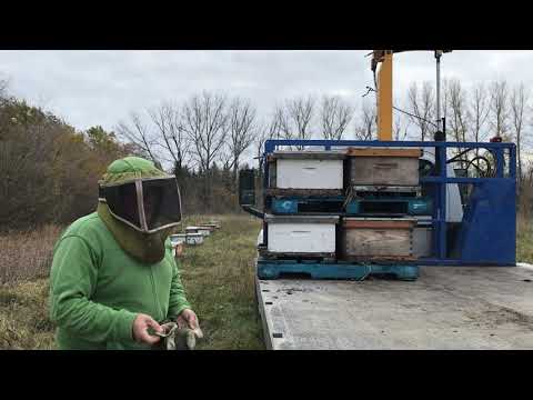 Eazy-Loading? 4 way pallets.