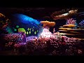 4K The Seas With Nemo And Friends Full Ride With 3 D Binaural Audio