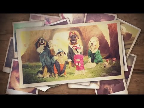 El Opening Perdido De Gravity Falls (Gravity Paws)