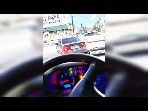 1+1 Tiko & Pege - Koxqses (Black Akhalkalaki) 🖤