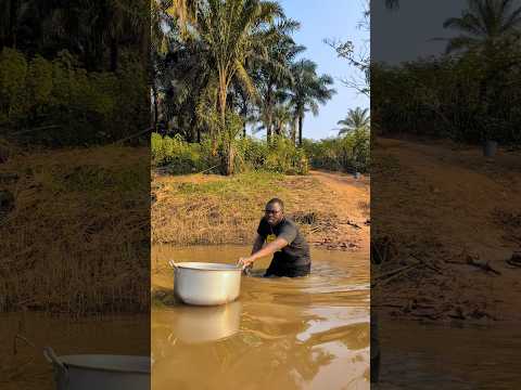 The Floating Pot 😂🔥