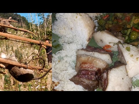 Vaithang kam ramriah leh mukbang