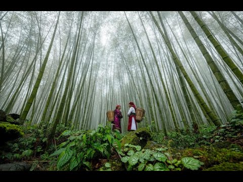 Video quảng bá chương trình kích cầu du lịch Việt Nam năm 2025 | New Day Tourism