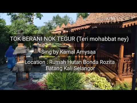 Tok berani Nok tegur (versi hindi) - Kamal Amysaa