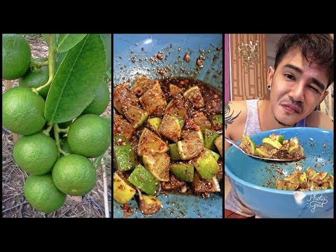 Program bagi pers untuk membakar lemak Goji berry untuk menurunkan berat badan dan membahayakan manfaat dan bahaya