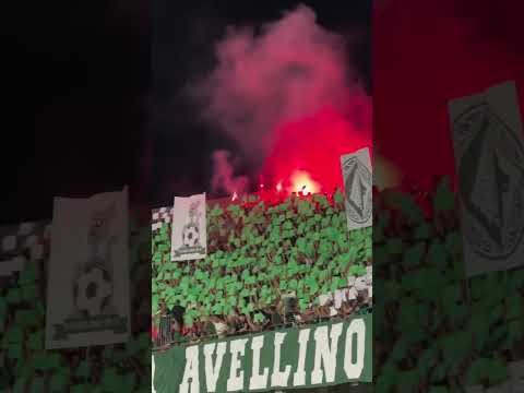 Coreografia della Curva Sud Avellino durante la partita contro il Monza