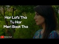 Tajdeed e Wafa Full Ost With Lyrics | Tajdeed-e-Wafa Ost | Hum Tv | Amanat Ali & Dania Farooq |