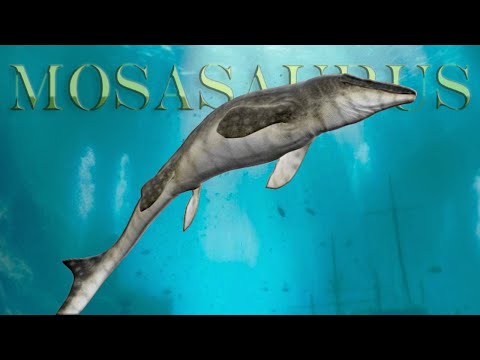 A Giant Mosasaurus On The Official Servers...