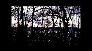 Slow Coming - Benjamin Booker [Unofficial Music Video]