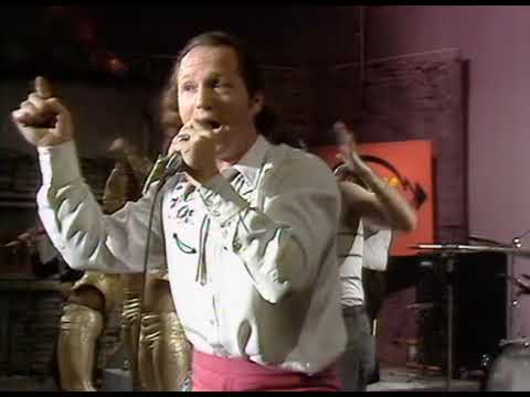 Sha Na Na - Rock & Roll Is Here To Stay (1973)