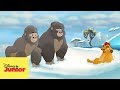 Seamos Todos Amigos I La Guardia Del León