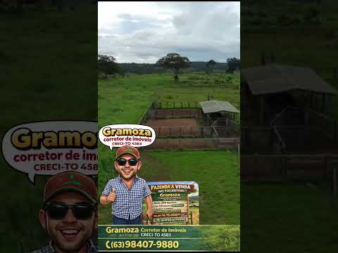 FAZENDA DE CULTURA EM MIRANORTE TOCANTINS ✅