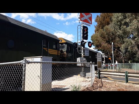 (2 Ex Freight Australia G Classes) Hawker St Ovingham Part 2