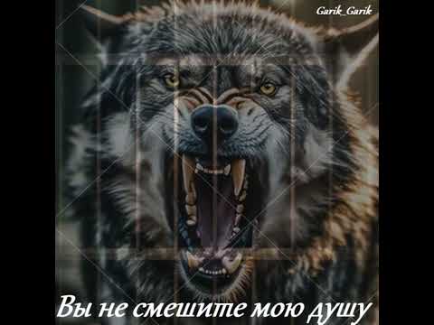 Garik Garik. Вы не смешите мою душу... 