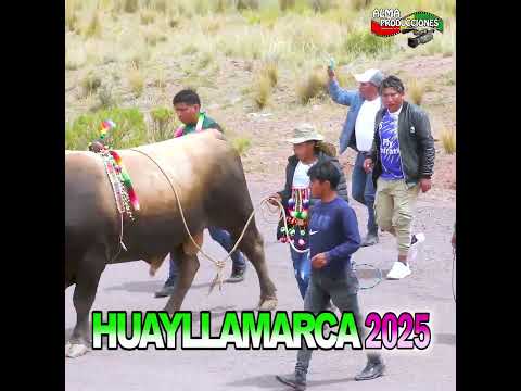 HUAYLLAMARCA 2026  "Maju en Huayllamarca"-2p. #shortsviral  #almaproduccionesbolivia #tradiciones