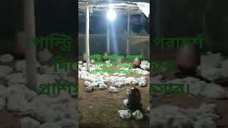 খামার পরিদর্শন