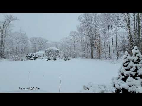 Winter Storm Quade - Live - 4K