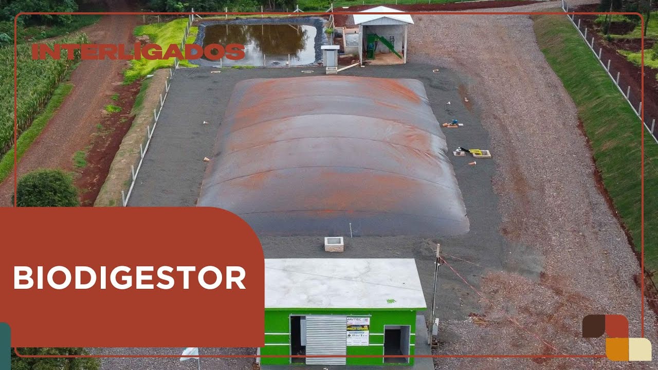 Economize: aprenda a montar um biodigestor na sua propriedade