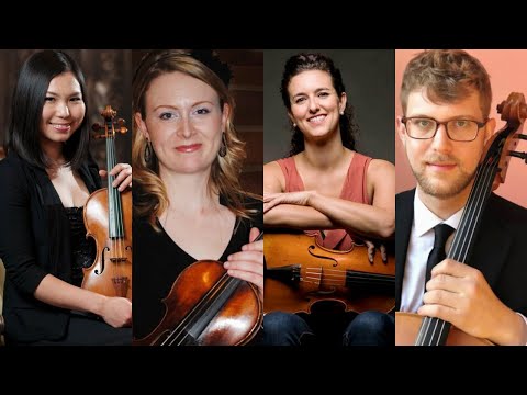 LIVE | Illinois Philharmonic Orchestra String Quartet