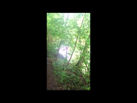 Vreme sporta i razonode