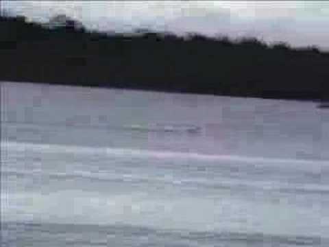 FSRH - Landeira 25/02/2007