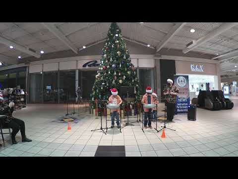 The Lion Sleeps Tonight