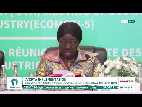 Elizabeth Ofosu-Adjare Calls for Removal of Trade Barriers in ECOWAS Region