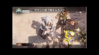 【BO3】最強の武器でサーチアンドデストロイ
