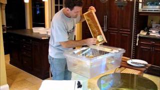Backyard Beekeeping Part 14(S1:E14): Honey Harvest