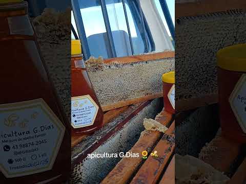 uma das lindas produções de mel do nossos enxames da apicultura G.Dias de Uraí Paraná #viral