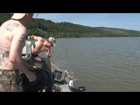 WĘDKARSTWO - Boleń 90 cm