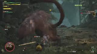 【MHW】モンハンワイルズ　参加型は考え中