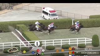 【競馬実況動画2026】第28回阪神スプリングジャンプ ディナースタ（高田潤）